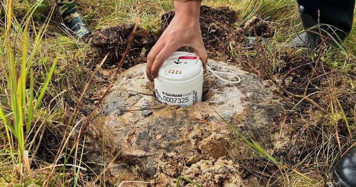 The people behind earthquake early warning