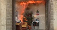 Don't let your Christmas tree spark a disaster