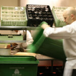 Will Arizona’s minimum wage go up in 2026? Here’s what we know