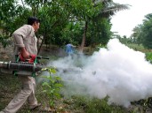 México rebasa los 20 mil contagios por dengue; 59% se concentra en 5 estados