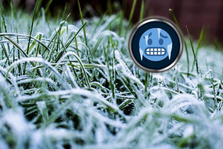 NJ weather: Brisk wind, arctic cold, light snow accumulations