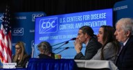 CDC vaccine panel votes to stop recommending birth dose of hepatitis B vaccine