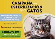 Habrá los días 17, 18 y 19 de diciembre campaña de esterilización de gatos al 2 x 1 en el MUSAVE