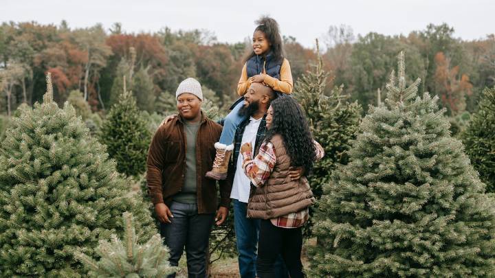 Este diciembre, decorar tu casa también puede regalar sonrisas