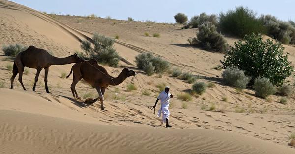 On World Soil Day, Rajasthan’s traditional water systems offer climate change lessons