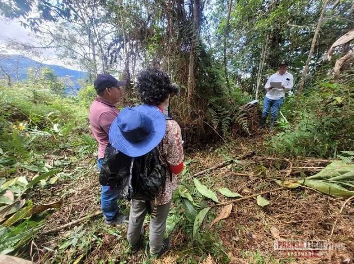 Restituyeron 70 hectáreas a víctima de abandono forzado en Chámeza