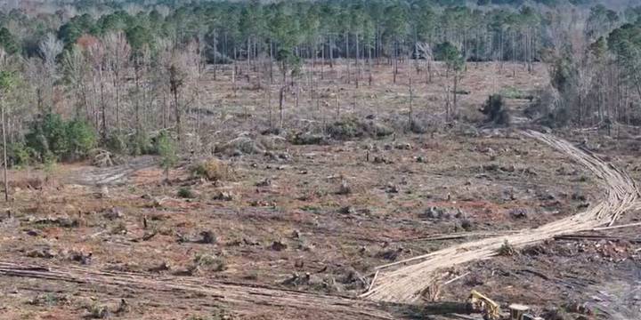 Dept. of Homeland Security announces more than $1 billion in FEMA funding for Georgia