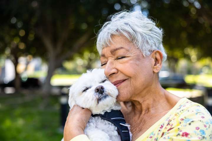 10 Best Dog Breeds for Seniors, According to Veterinarians