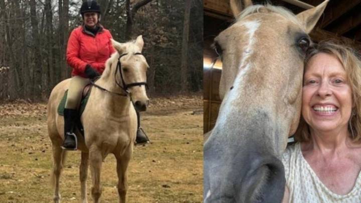 Woman injured, horse killed after biker spooked them on Ipswich trail