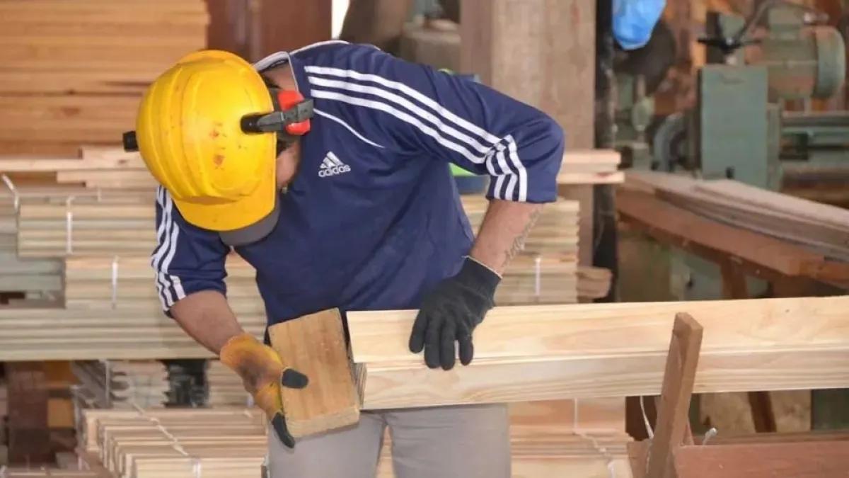 La forestoindustria de Misiones en su peor momento histórico, según Infopro