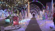 Nevada Street glistens with holiday lights display for 5th straight year