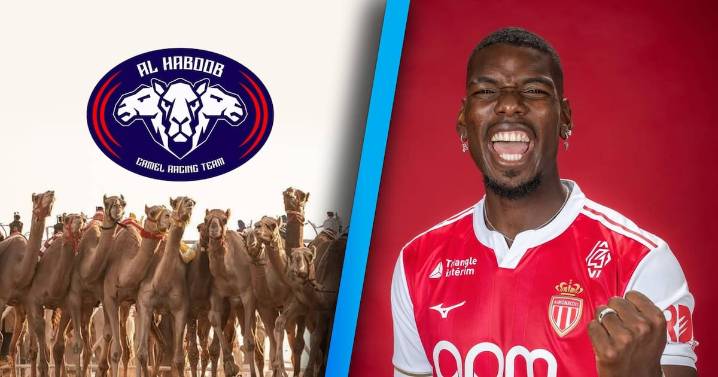Paul Pogba le entra al negocio de las carreras de camellos profesionales