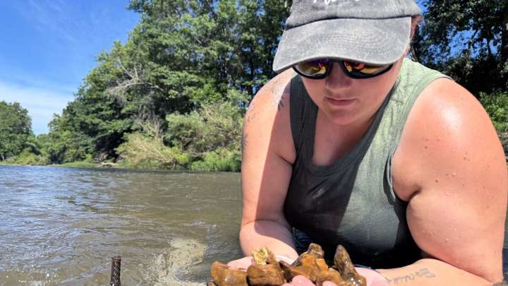 Polluted Ozark river is finally bouncing back from disaster