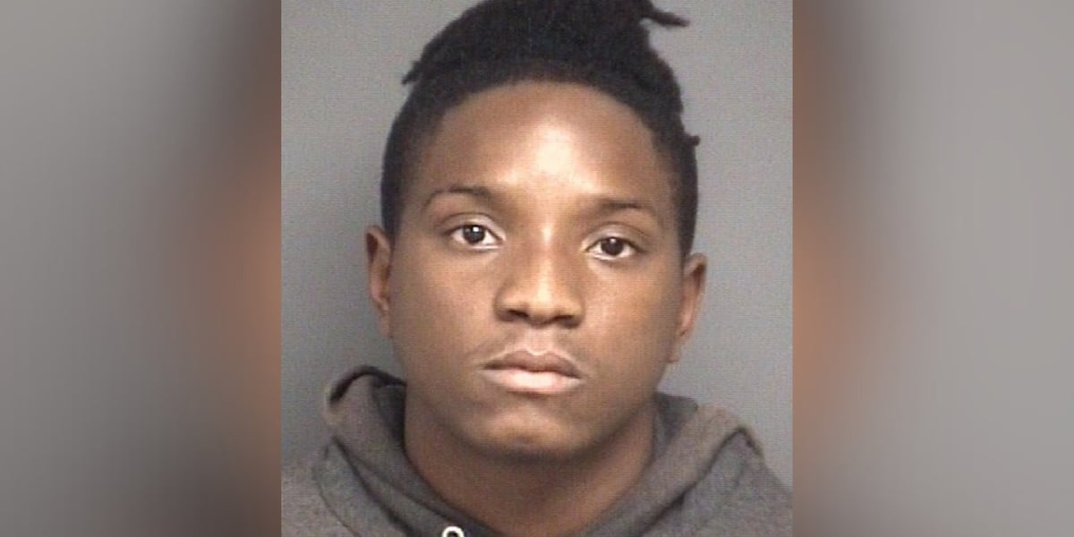 WARRANTS: Man arrested by Greenville police for armed robbery