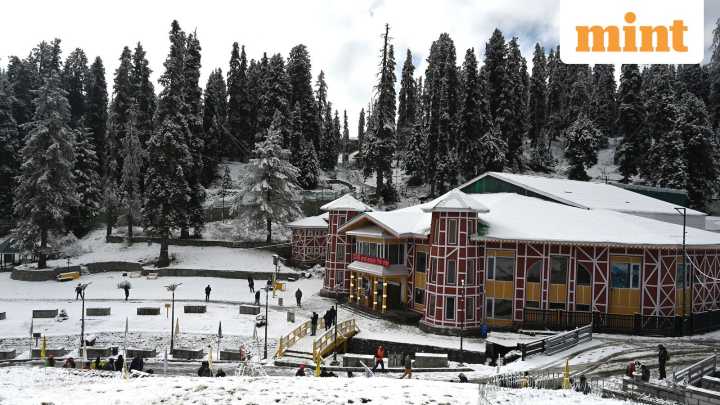 IMD issues dense fog and cold wave warning in Delhi, Haryana, Punjab till Dec 16