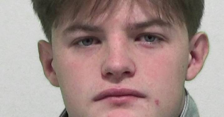 North East thug left blameless teen with detached retina in 'gratuitous' city centre attack