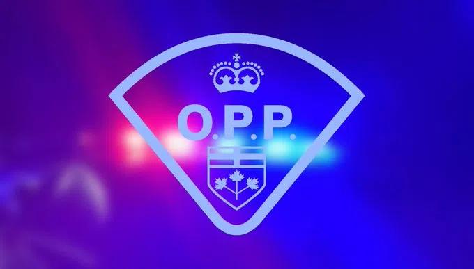 Reports of gun shots lead to arrest in Prince Edward County