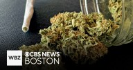 Law enforcement group alleges fraud, THC inflation in Mass. cannabis industry