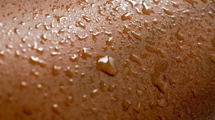 Qué puede revelar el sudor sobre tu salud, según los últimos estudios