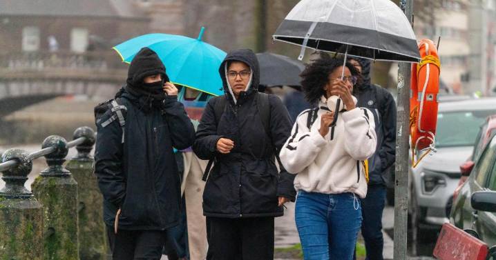 Storm Bram: ‘Very dangerous’ winds cause travel disruption and power outages