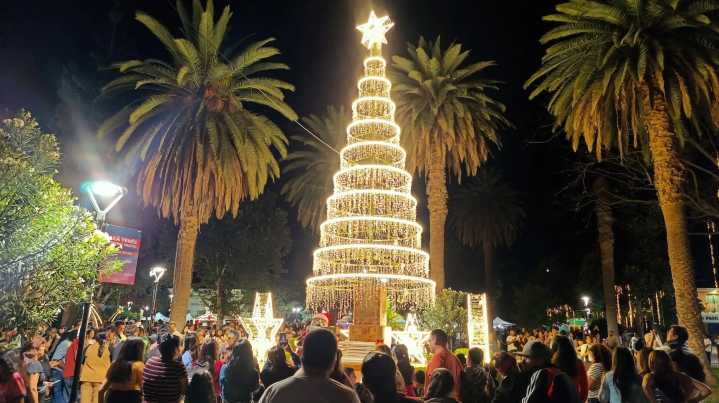 La Navidad llegó a los municipios de Salta: ¿Cuál es el arbolito más lindo?
