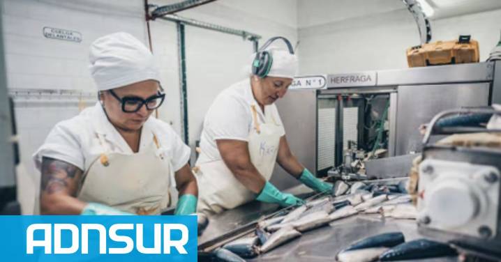 17:13 Tras 28 años de funcionamiento, cerró definitivamente una histórica pesquera y 50 trabajadores quedaron en la calle