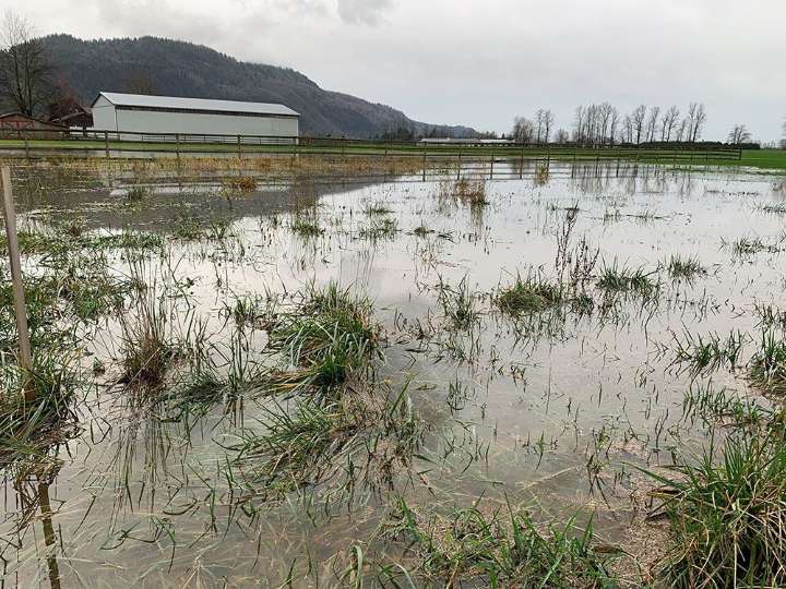 B.C. flooding: Abbotsford evacuation order expanded to 400 properties, 1,800 on alert