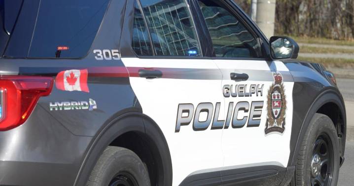 Guelph man fights officer after family dispute