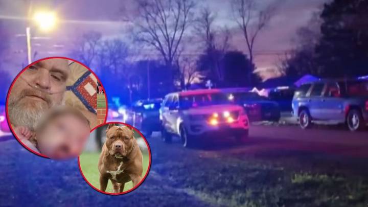 Horror en Tennessee: abuelo y bebé mueren atacados por siete pitbulls dentro de su vivienda