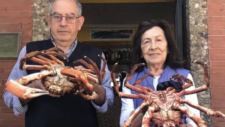 Asturias levanta la veda de centollos y ñoclas: estas son las nuevas condiciones