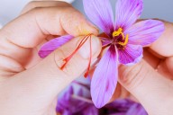 What Happens to Your Sleep, Mood, and Heart Health When You Add Saffron to Your Diet