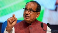 Farmers should diversify beyond crops to boost income: Shivraj Chouhan