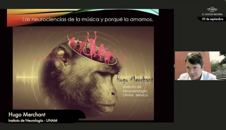 Los macacos pueden seguir el ritmo de los Backstreet boys y Bob Dylan,  revela estudio de la UNAM