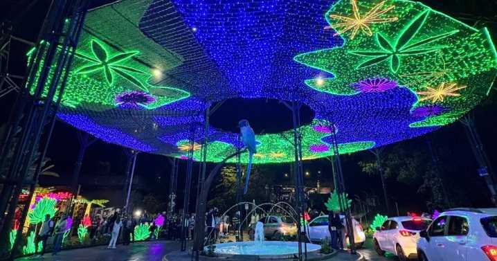 Manizales se llena de color: encienden el alumbrado navideño y exaltan lo mejor del Área Metropolitana
