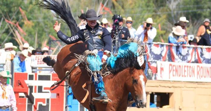 Helena cowboy Sam Petersen hopes to be be wearing a new gold belt buckle soon