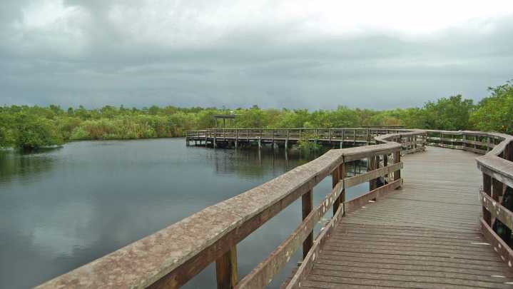 NPS drops MLK Day, Juneteenth as free days. What Florida parks charge