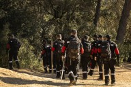 La Generalitat acuerda con los ganaderos el sacrificio de 30.000 cerdos sanos en el foco de infección de peste porcina