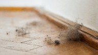 Ni aspirador ni plumero: así es el método casero más eficaz para eliminar pelos y polvo del suelo