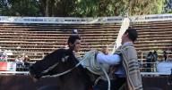 Andrés Rojas y Patricio Vidal ganan el Clasificatorio Escolar Zona Centro Sur de rodeo