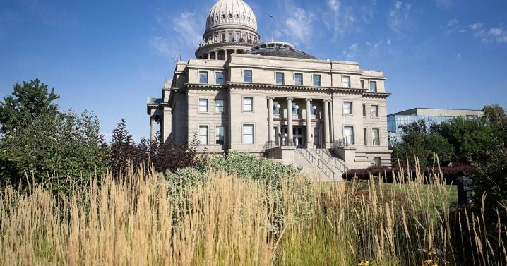 Senator may recommend new law to prioritize children’s safety in child custody battle