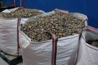 La Costa del Sol recupera 3.900 kilos de cápsulas de café