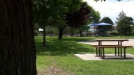 Albuquerque city council approves $2 million for park grass replacement