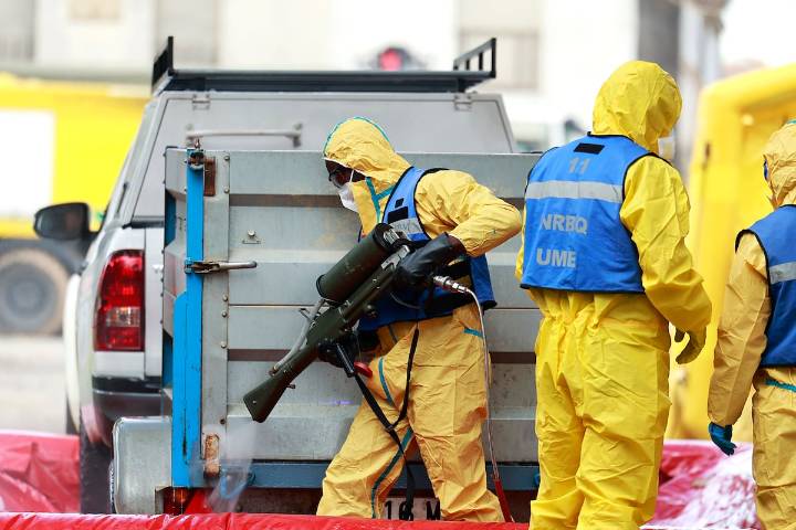 El Ministerio de Agricultura eleva a nueve los casos de jabalíes muertos por la peste porcina en Barcelona