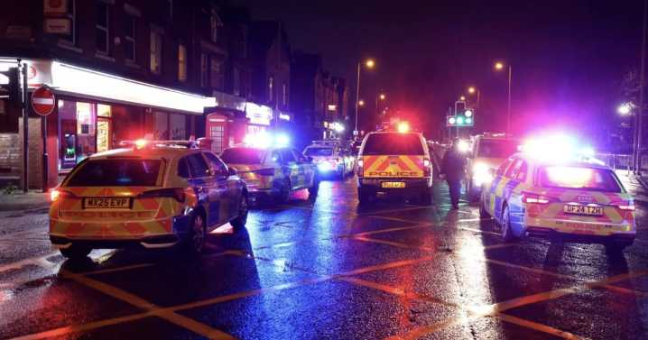 Elderly woman, 81, killed in hit-and-run as cops hunt for driver