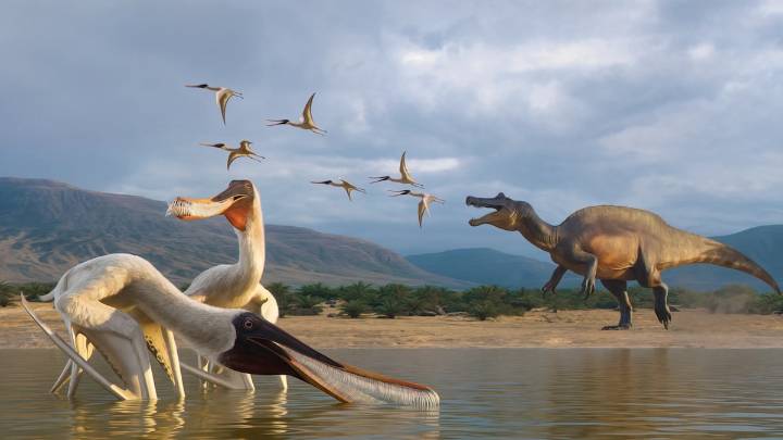 How dinosaur vomit has solved these prehistoric mysteries
