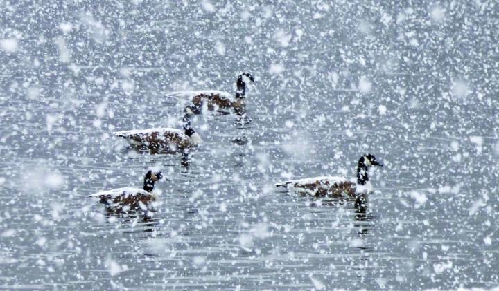 What’s happening in the Mid-Hudson Valley: Dec. 4, 2025