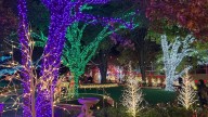 Amarillo Botanical Gardens marks holidays with lights, snow, goodies