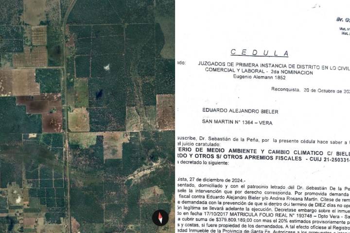 “No hice daño”. Polémica por una multa de $379 millones a un productor ganadero