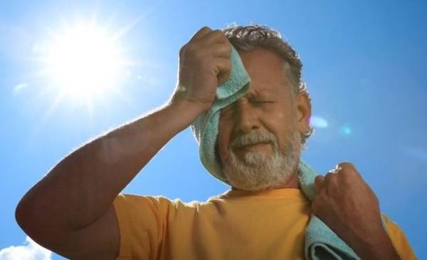 Comer para hidratarse: los alimentos que reponen el agua