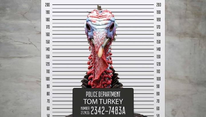 Turkey Pardoned By Biden Administration 4 Times Commits Violent Turkey Murder